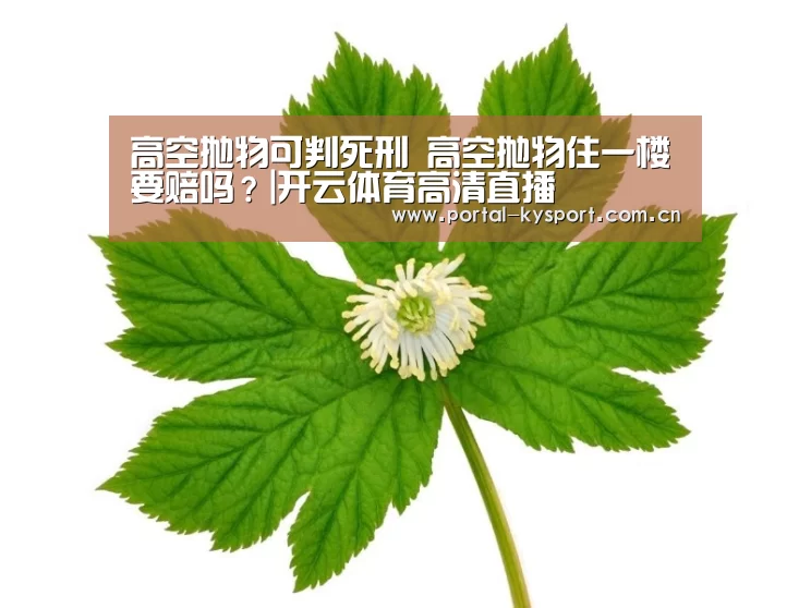 开云体育入口