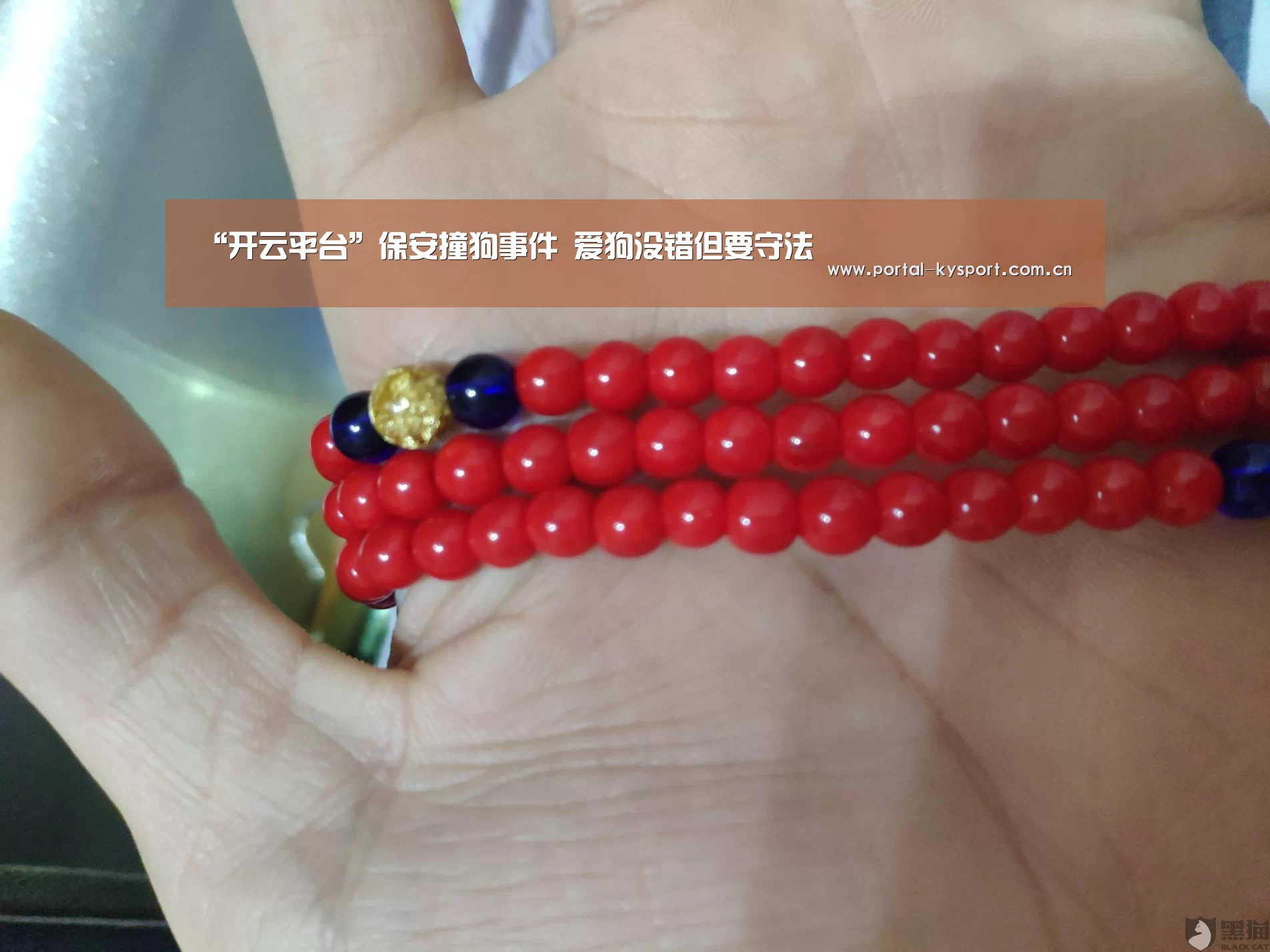 开云体育高清直播