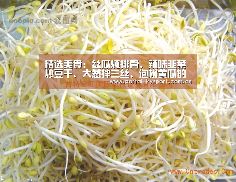 精选美食:丝瓜炖排骨、辣味韭菜炒豆干、大葱拌三丝、泡椒黄瓜的做法:开云体育高清直播(图2) 开云体育入口