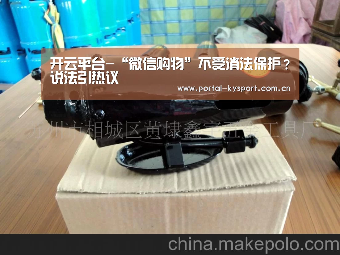 开云体育入口