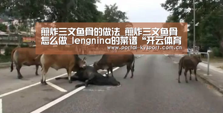 煎炸三文鱼骨的做法_煎炸三文鱼骨怎么做_lengnina的菜谱“开云体育高清直播”(图2) 开云体育高清直播