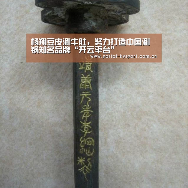 开云体育高清直播
