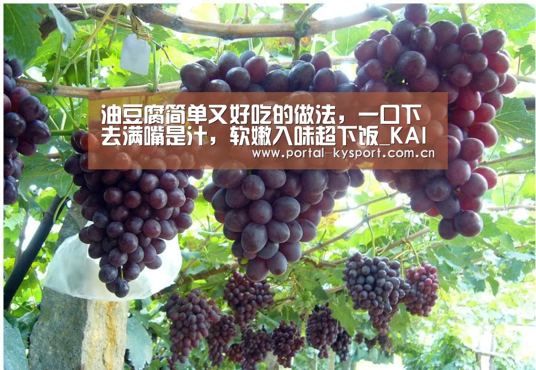 油豆腐简单又好吃的做法,一口下去满嘴是汁,软嫩入味超下饭_KAIYUN中国站(图2) 开云体育入口