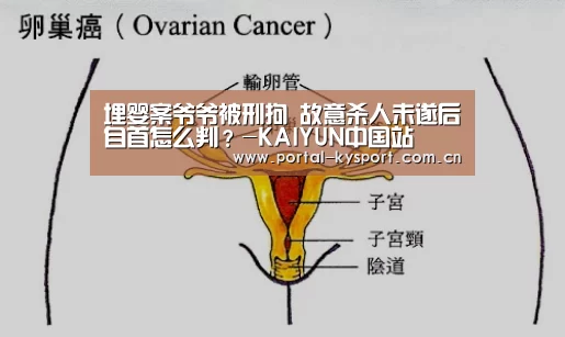 开云体育高清直播
