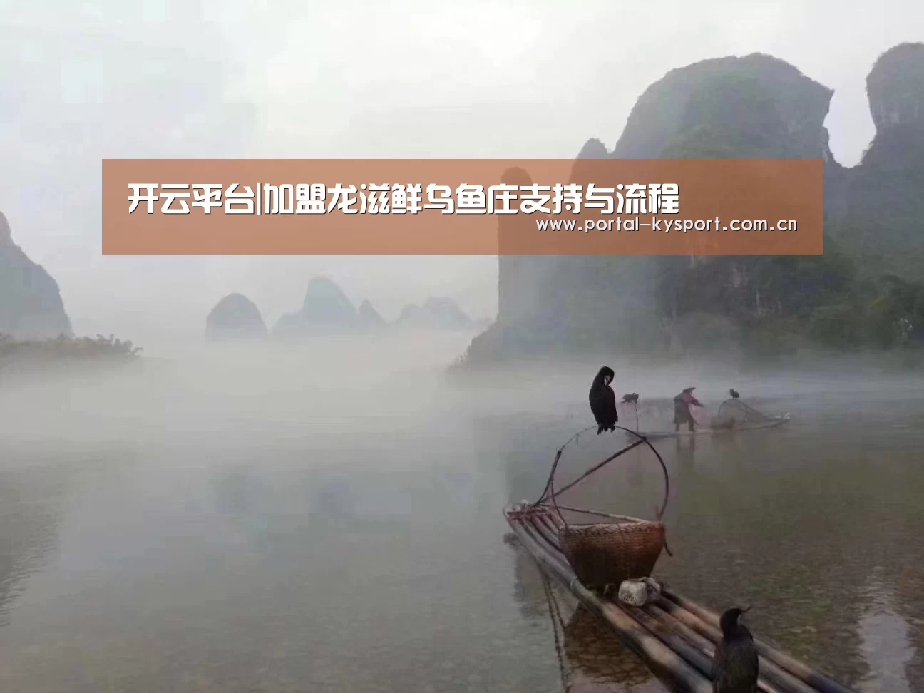 开云体育入口