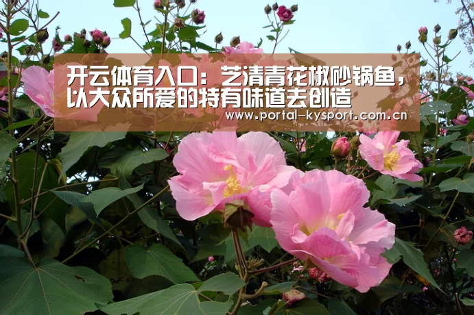 KAIYUN中国站