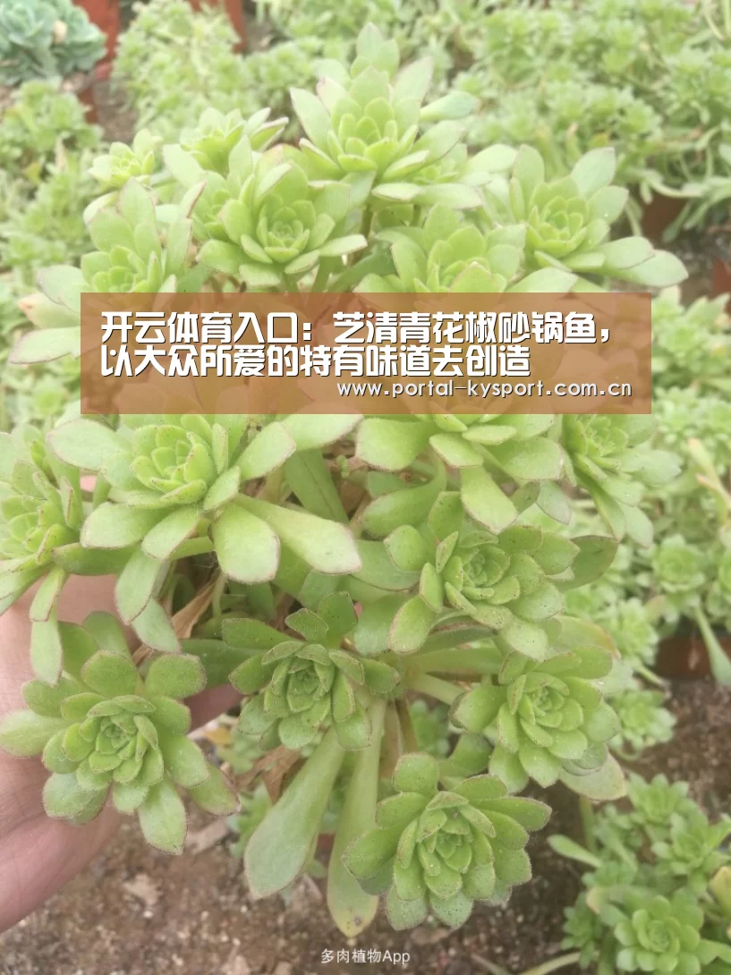 KAIYUN中国站