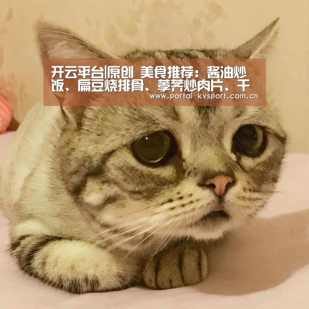 KAIYUN中国站