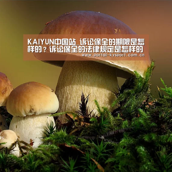 KAIYUN中国站
