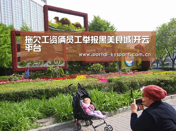 开云体育入口
