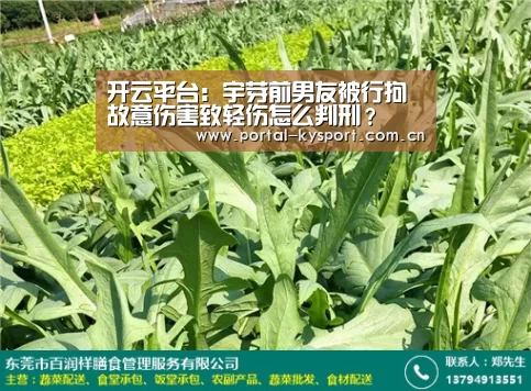 开云平台