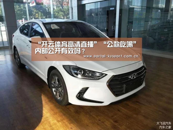 开云体育入口